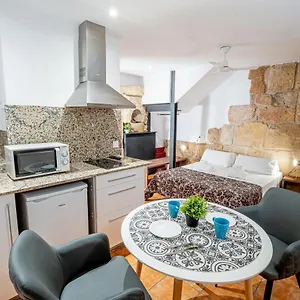  Appartement Planta Baja En La Muralla Romana Junto A La Catedral Espagne